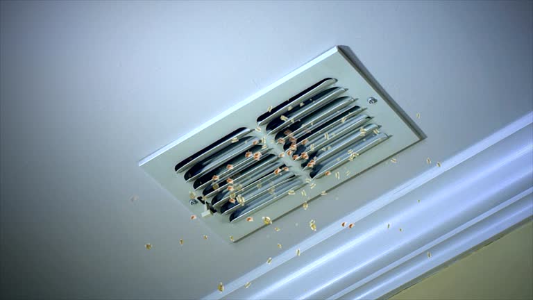 Best Professional Duct Cleaning Services  in Jerseyvle, IL